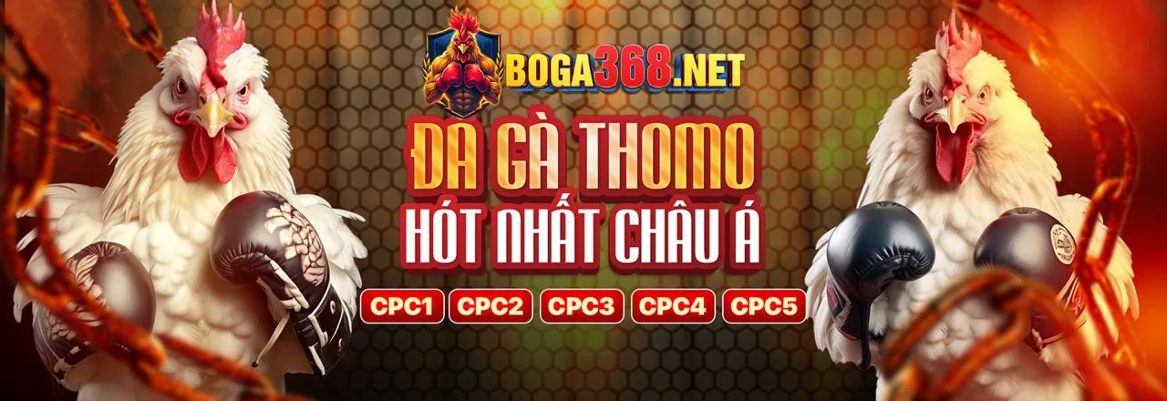 Ứng dụng di động B29BET